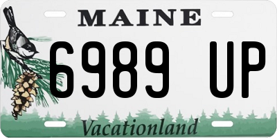ME license plate 6989UP