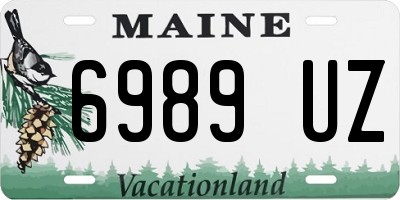 ME license plate 6989UZ