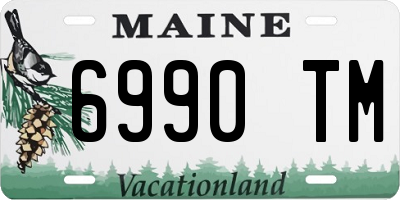 ME license plate 6990TM