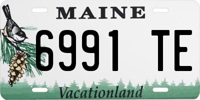 ME license plate 6991TE