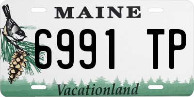 ME license plate 6991TP