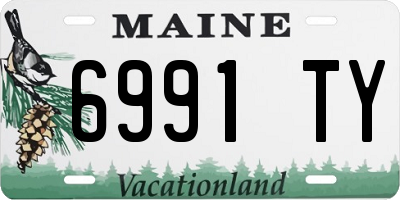 ME license plate 6991TY