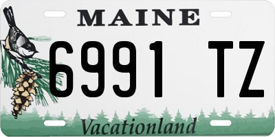 ME license plate 6991TZ