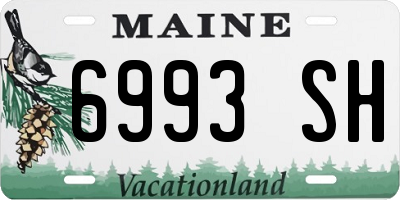 ME license plate 6993SH