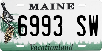 ME license plate 6993SW