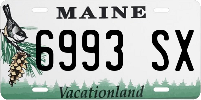 ME license plate 6993SX