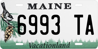 ME license plate 6993TA