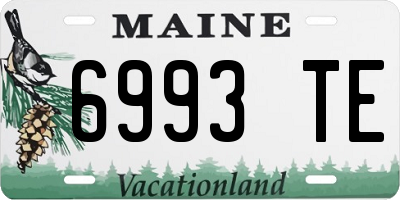 ME license plate 6993TE
