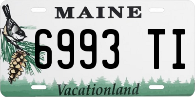 ME license plate 6993TI