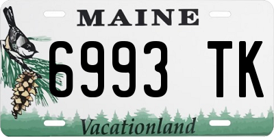 ME license plate 6993TK