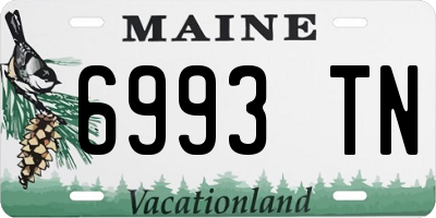 ME license plate 6993TN