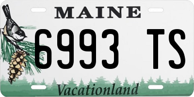 ME license plate 6993TS