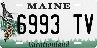 ME license plate 6993TV