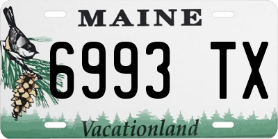 ME license plate 6993TX