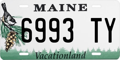 ME license plate 6993TY