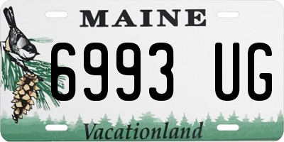 ME license plate 6993UG