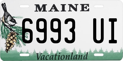 ME license plate 6993UI