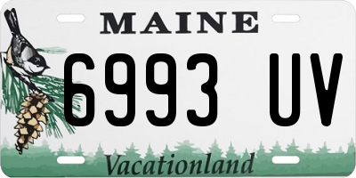 ME license plate 6993UV