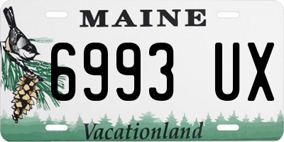 ME license plate 6993UX