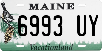 ME license plate 6993UY