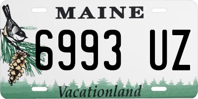 ME license plate 6993UZ