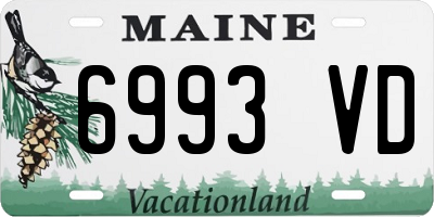 ME license plate 6993VD