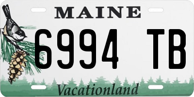 ME license plate 6994TB
