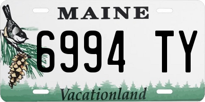 ME license plate 6994TY