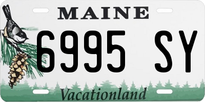 ME license plate 6995SY