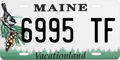 ME license plate 6995TF