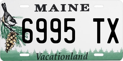 ME license plate 6995TX