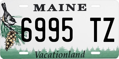 ME license plate 6995TZ