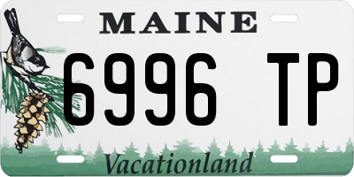 ME license plate 6996TP