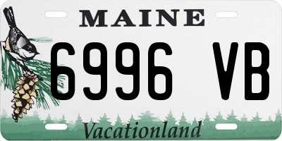 ME license plate 6996VB