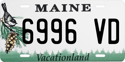 ME license plate 6996VD