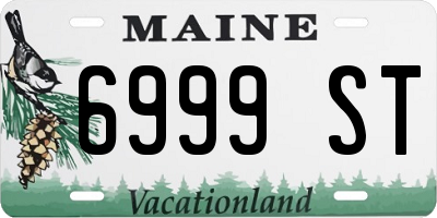 ME license plate 6999ST