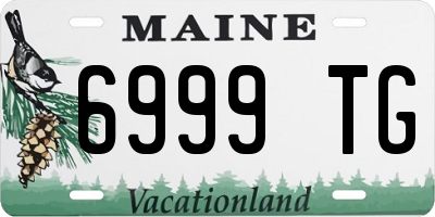 ME license plate 6999TG