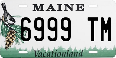 ME license plate 6999TM
