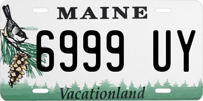 ME license plate 6999UY