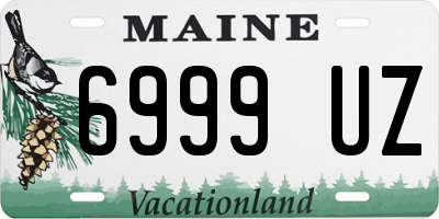 ME license plate 6999UZ