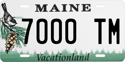 ME license plate 7000TM