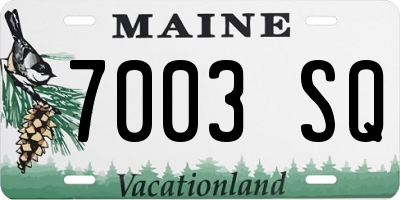 ME license plate 7003SQ