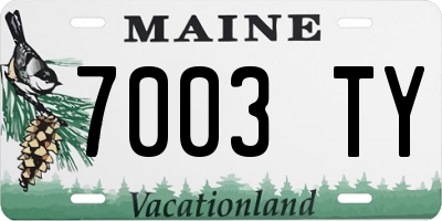 ME license plate 7003TY