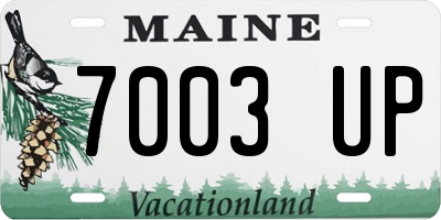 ME license plate 7003UP