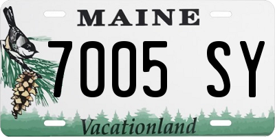 ME license plate 7005SY