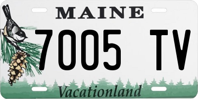ME license plate 7005TV