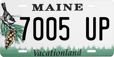 ME license plate 7005UP