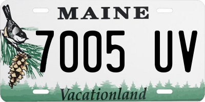 ME license plate 7005UV