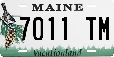 ME license plate 7011TM