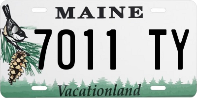 ME license plate 7011TY